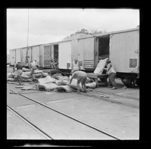 Men unloading beef from a railway wagon at Opua Wharf, Bay of Islands, Far North District, Northland Region