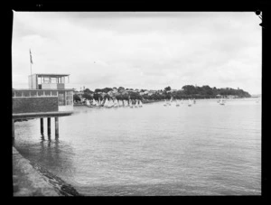 Yatching, Kohimarama, Auckland