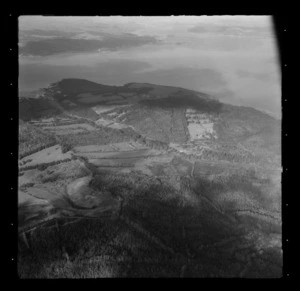 Henderson and Pollard Limited, Tinopai Bush, Northland Region