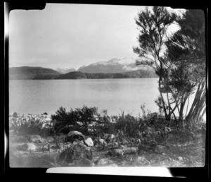 Lake Manapouri, Fiordland