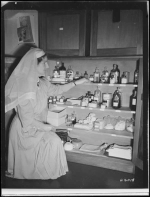 Nurse inspecting pharmaceutical stock