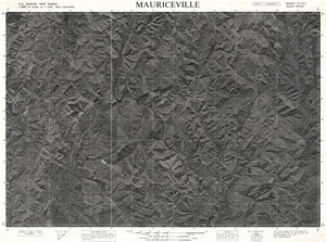 Mauriceville / this mosaic compiled by N.Z. Aerial Mapping Ltd. for Lands and Survey Dept., N.Z.