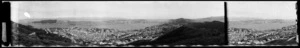 Haitaitai [i.e. Hataitai] from Mount Victoria, Wellington. No. 329. N.Z.