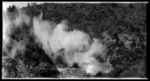 Geothermal valley with billowing steam. `No. 145'