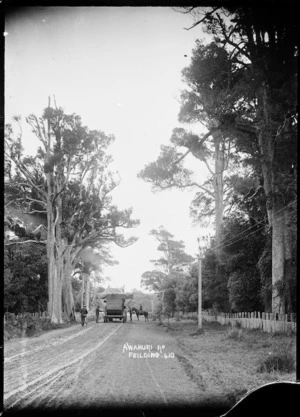 Awahuri Road, Manawatu