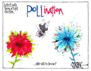 Flower power/ Pollination