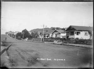 Mt Albert Road, Mount Albert, Auckland