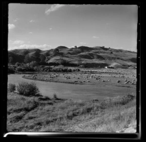 Ohau Channel, Mourea, Rotorua District, Bay of Plenty Region