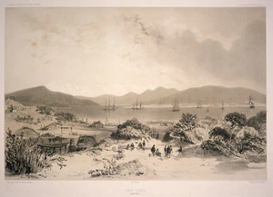 Le Breton, Louis Auguste Marie 1818-1866 :Port Otago (Nouvelle Zelande) / dessine par LeBreton ; lith par Sabatier ; imp. par Lemercier. Paris, Gide [1848]