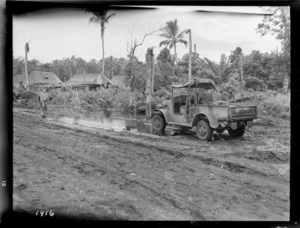 World War II soldiers in the Pacific; malarial control