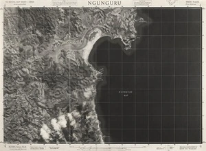 Ngunguru / this mosaic compiled by N.Z. Aerial Mapping Ltd. for Lands and Survey Dept., N.Z.
