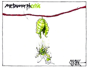 A Green Party cocoon metamorphosis goes wrong