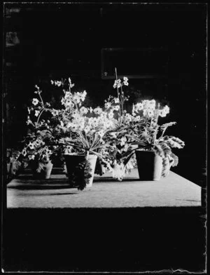 Interior with flowers