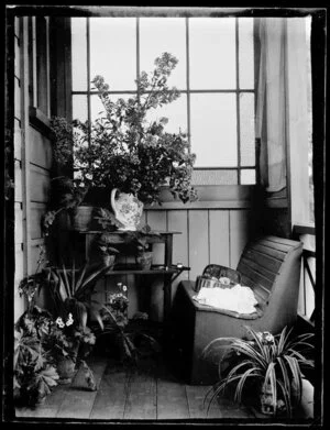 Interior with plants and flowers
