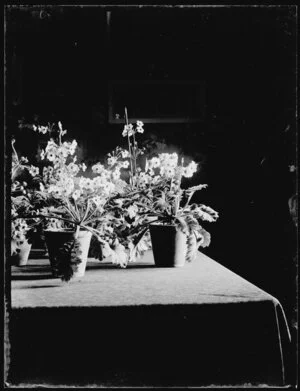 Interior with flowers