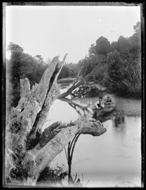 Man in boat on tree-lined stream