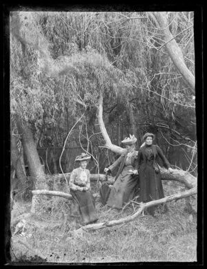Robina Nicol with two unidentified women among willow trees