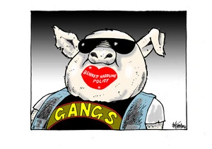 Bennett Hardline Policy. Gangs.