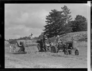 Haymaking at Aratapu