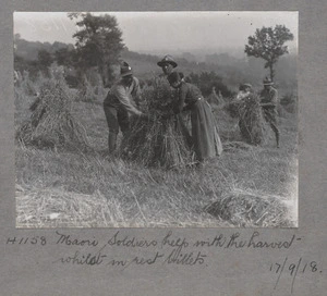 Soldiers of Pioneer Battalion helping with harvest