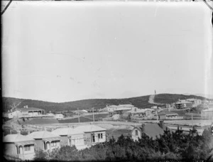 Scene with houses, in the vicinity of Blucher Ave, Newtown, Wellington