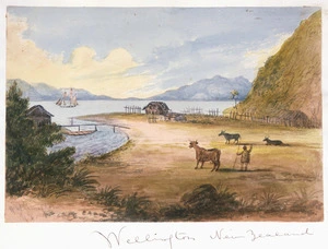 [Gold, Charles Emilius] 1809-1871 :Wellington New Zealand [Between 1847 and 1858].