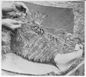 Making a Maori fishing net
