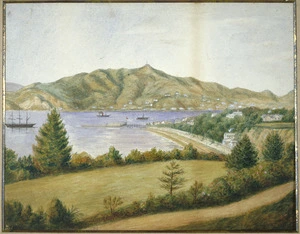 Greenwood, Sarah, 1809?-1889 :Wellington Harbour from Tiakiwai above Tinakori Road. 1881.