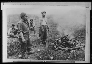 Preparing hot stones for the 28th New Zealand (Maori) Battalion hangi, Italy - Photograph taken by Dr C N D'Arcy