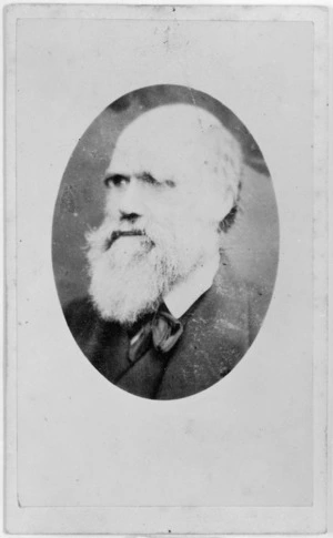 Darwin, William Erasmus, 1839-1914: Portrait of Charles Darwin