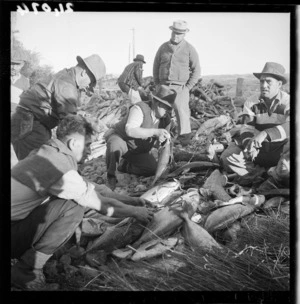 Men collecting fish at Te Kaha for a hangi