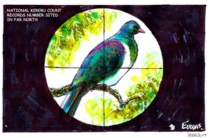 National count records kereru sited in Far North