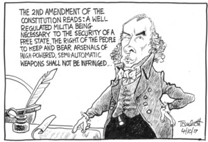 United States 2nd Amendment