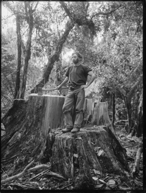 Man standing on the stump of a tree