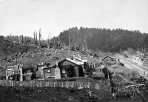 Houses, railway station, and cleared land, at Raurimu