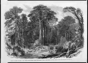 Illustrated London news :Views in New Zealand. The Great South Road, near Shepherd's Bush, the scene of the attack upon the escort on July 17 (London, 1863)
