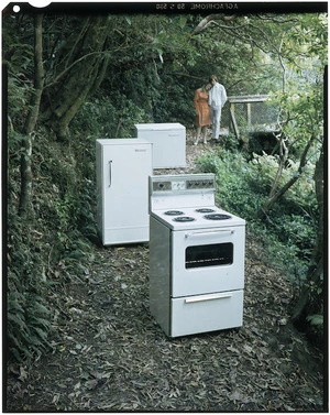 Couple with Frigidaire electric appliances in Wellington Botanic Garden
