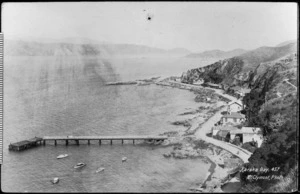 McClymont, fl 1900 :Photograph of Karaka Bay, Wellington