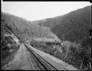 View of the Rimutaka Incline
