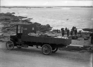 Fishermen with their catch ready to load on an open truck, Island Bay