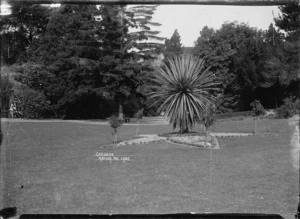 Botanical Gardens, Napier