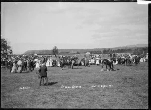 View of the Opotiki A & P Show, 1911