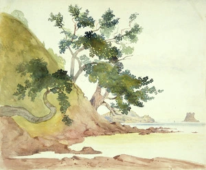 [Fox, William] 1812-1893 :[Bay of Islands? ca. 1850?]