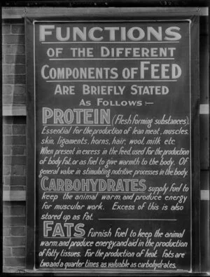 Display board, 'Functions of the different components of feed'