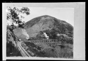 Burton Brothers (Dunedin), 1868-1898: Waitohi Viaduct