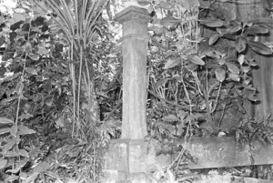 Grave of Robert Coulson, plot 5811, Bolton Street Cemetery