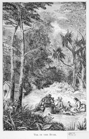 Tea in the bush - Illustration from Lady Barker's Station amusements in New Zealand (1873)