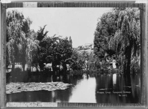 Mirror lake and trees, at the gardens, Oamaru