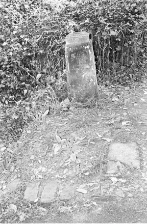 Grave of Josephine Sorwall, plot 6807, Bolton Street Cemetery
