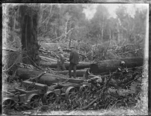 Log hauler and tram track at sawmill of A W Roe, Mamaku, Rotorua district